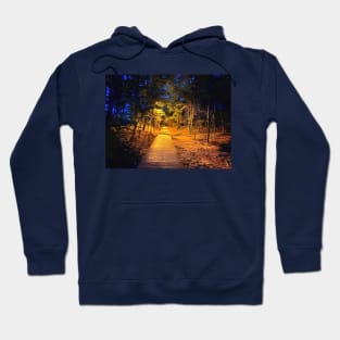 Evening in the autumn park Hoodie